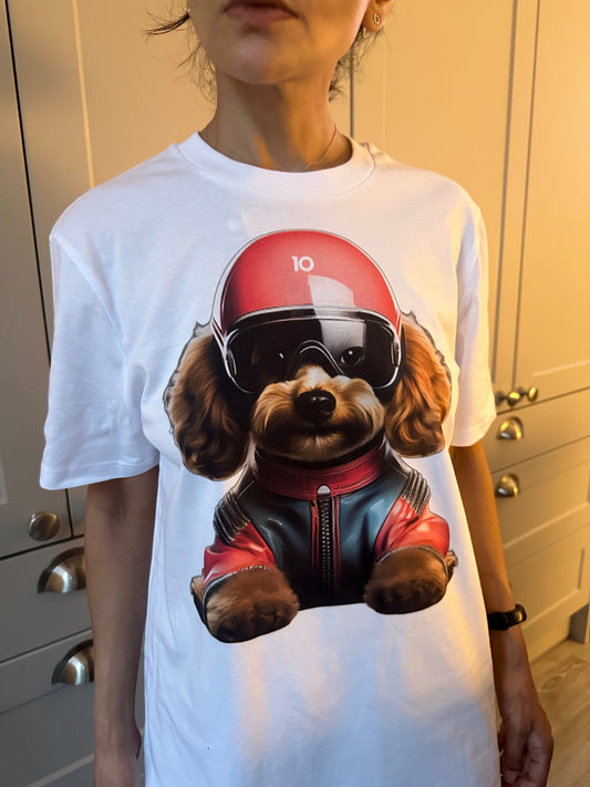 🏎️🐾 F1 Doggos: The Fastest Paws in Motorsport Fashion