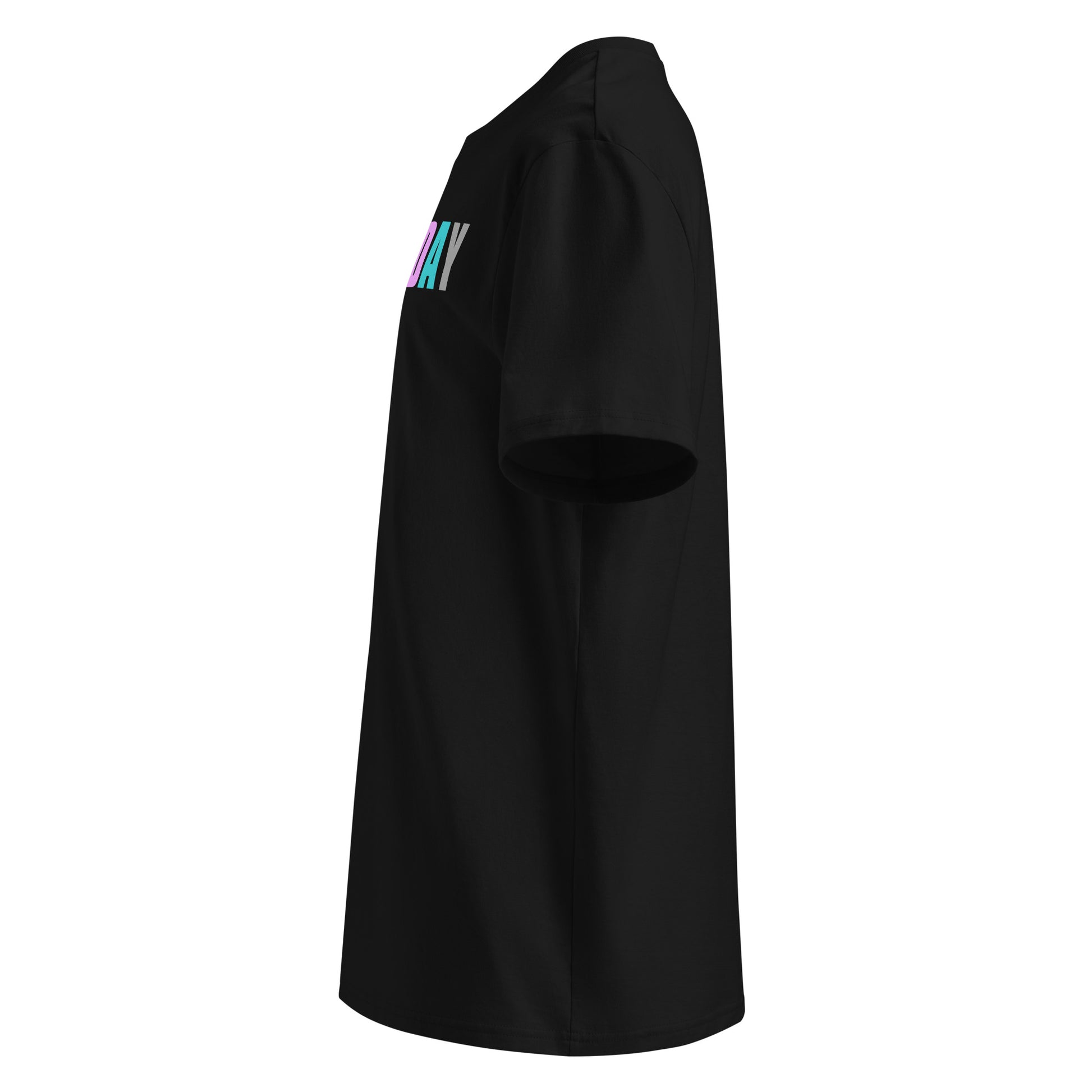 Left side view of black unisex t-shirt, plain sleeve, visible side of the colourful “EVERY DAY IS A TRACK DAY” chest print. Minimalist, car meet fan style.
