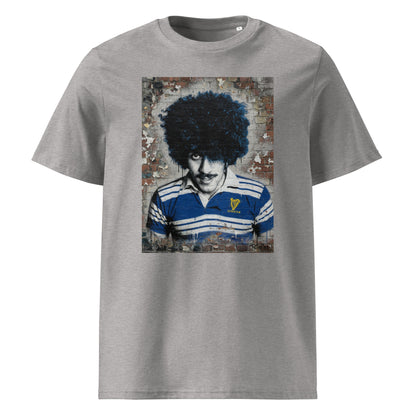 Leinster Legends Rock Poet rugby heather grey t-shirt featuring Phil Lynott artwork on a red brick wall.