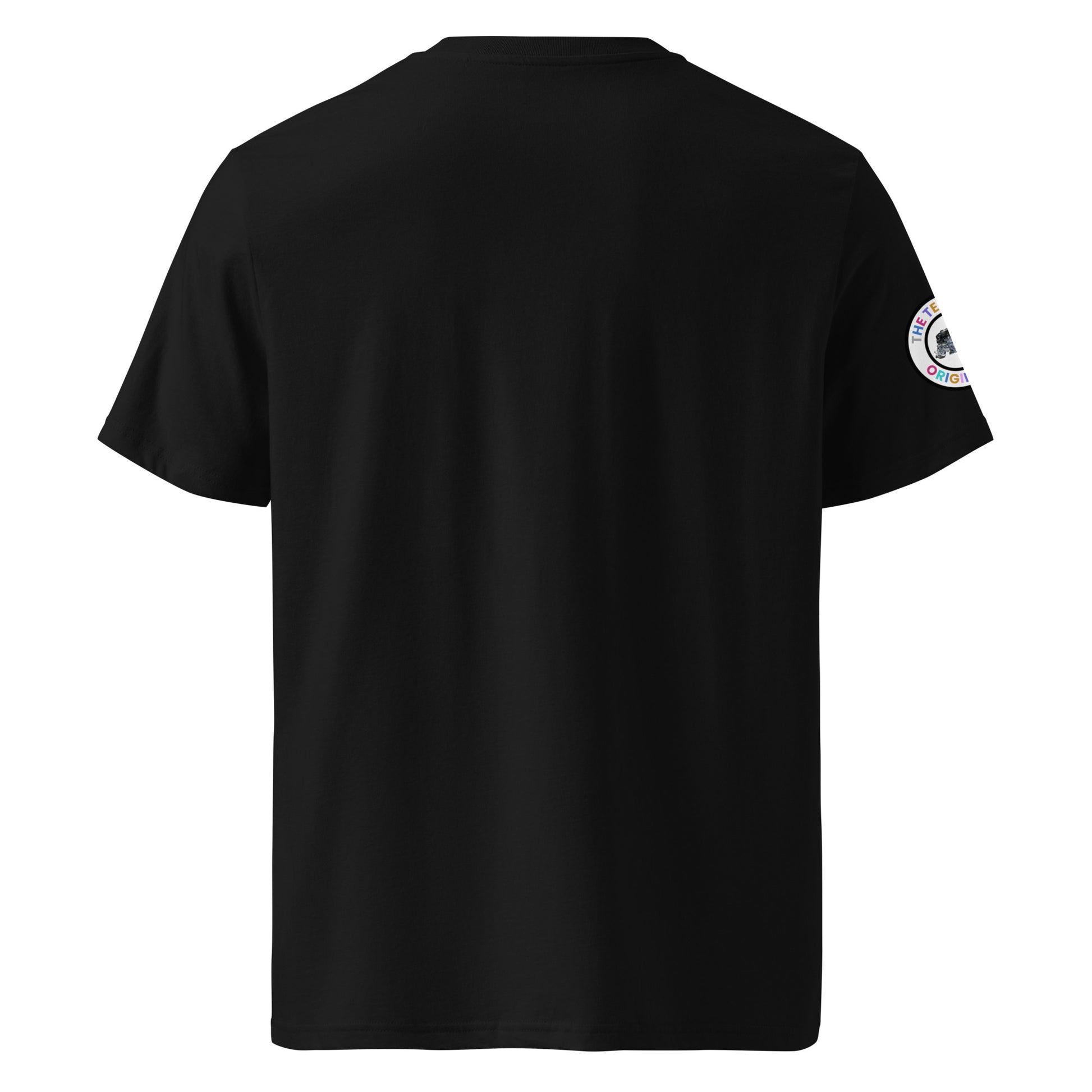 Back view of black unisex t-shirt with plain design. No rear print, highlighting the multi-colour front slogan and unique flat six engine logo on the sleeve. DTF print, perfect for car meet and flat six engine fans.
