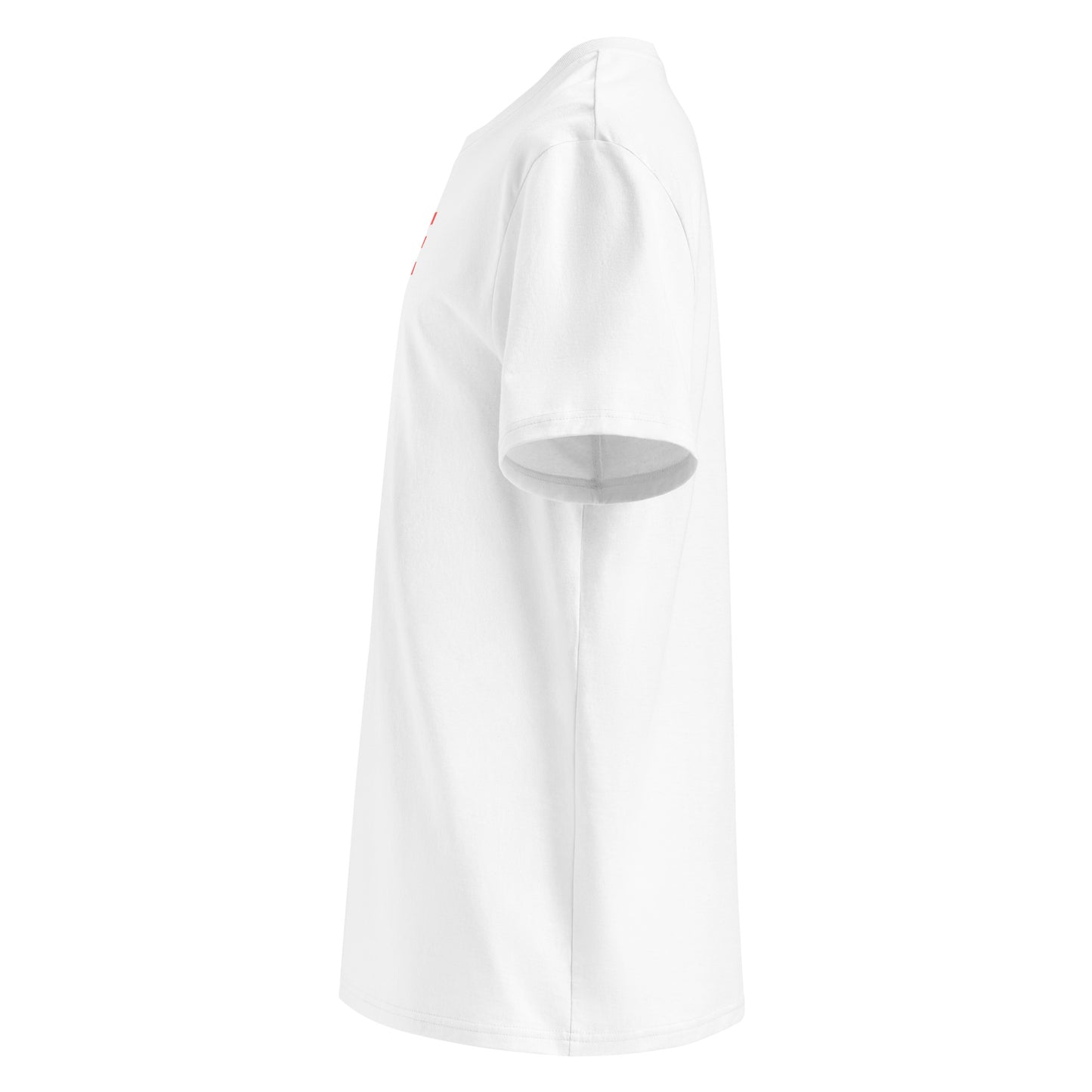 Left side view of white unisex t-shirt, plain sleeve, visible side of the colourful “TORQUE OF THE DEVIL” chest print. Minimalist, car meet style.